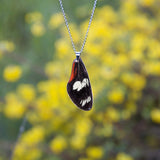Long Heliconius Doris Butterfly Pendant