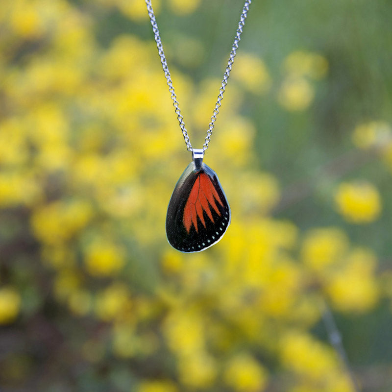 Colgante Mariposa Heliconius Doris corto