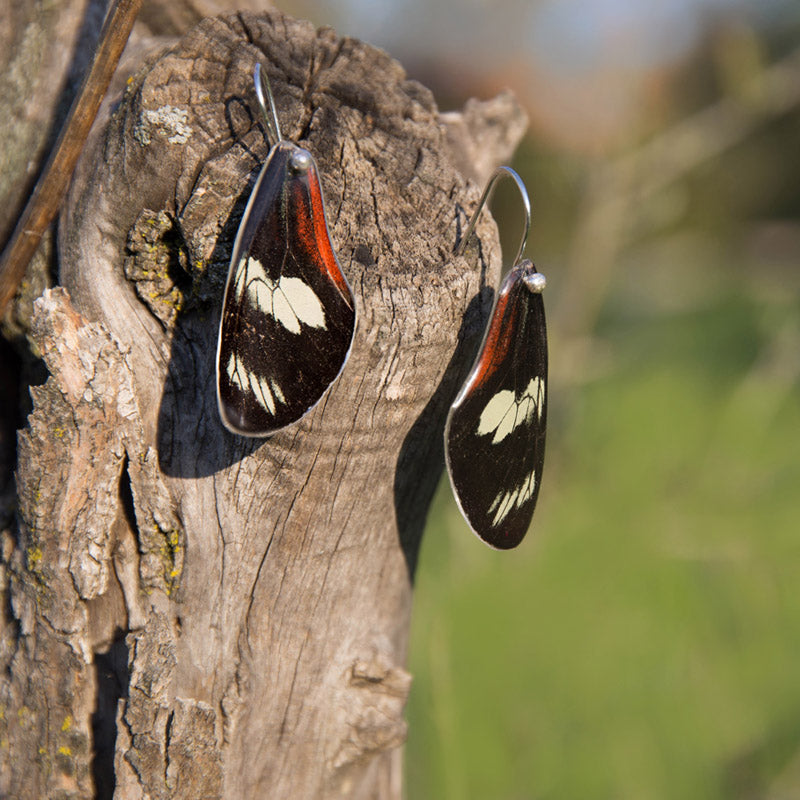 Pendientes Mariposa Heliconius Doris largos