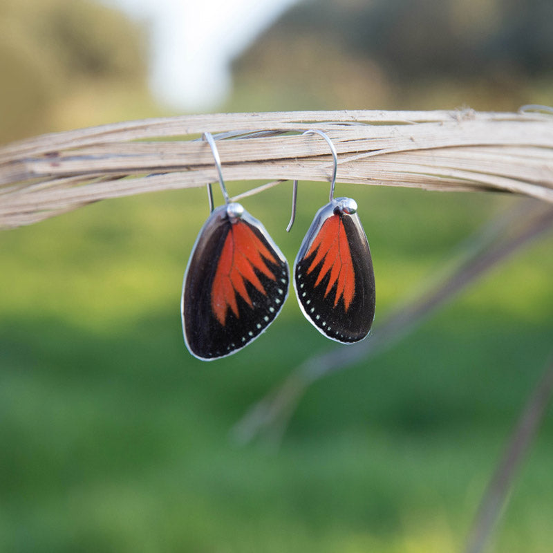 Pendientes Mariposa Heliconius Doris cortos