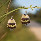 Pendientes Mariposa Siproeta Stelenes cortos