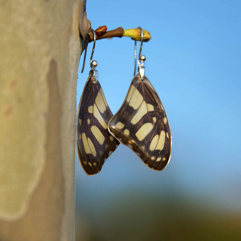 Pendientes Mariposa Siproeta Stelenes largos