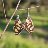 Pendientes Mariposa Siproeta Stelenes largos