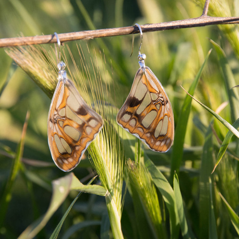 Long Siproeta Stelenes Butterfly Earrings