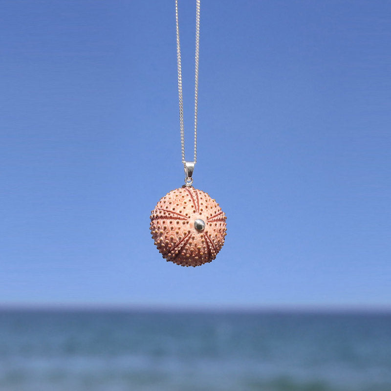 Medium Natural Pink Sea Urchin Pendant