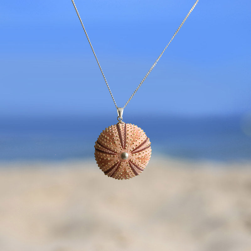 Medium Natural Pink Sea Urchin Pendant