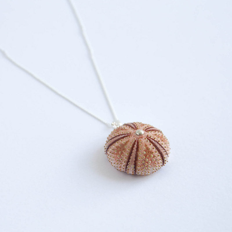 Medium Natural Pink Sea Urchin Pendant