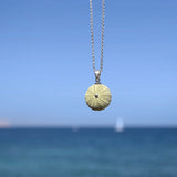 Small Natural Green Sea Urchin Pendant