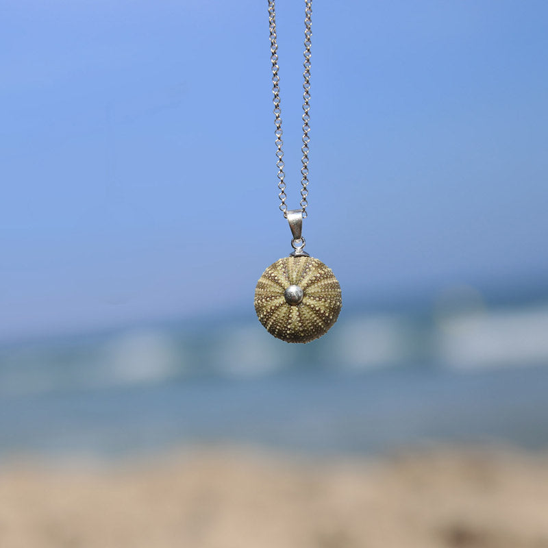 Colgante Erizo Verde Natural Pequeño