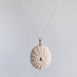 Medium Natural White Sea Urchin Pendant