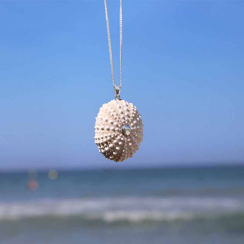 Colgante Erizo Blanco Natural Mediano