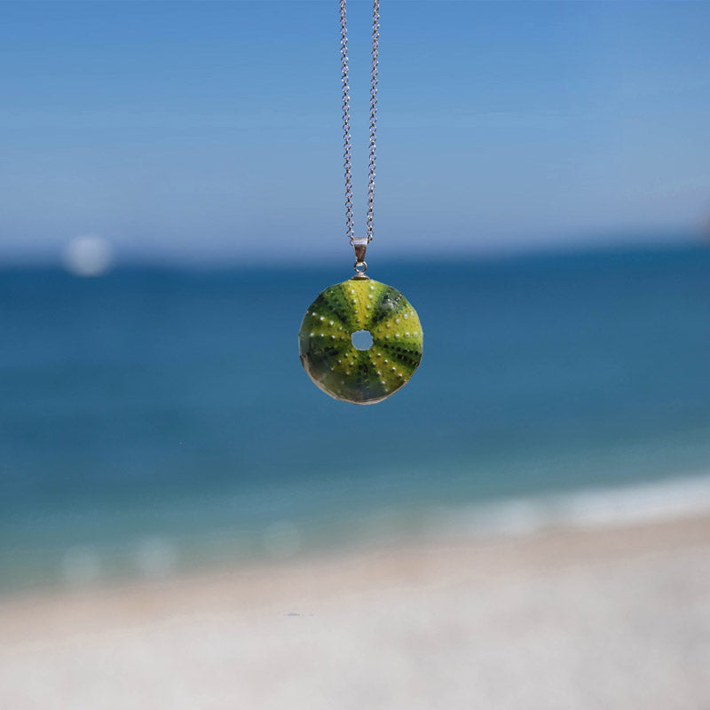 Medium Green Sea Urchin Pendant
