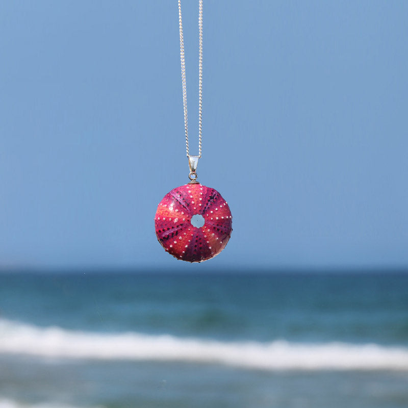 Colgante Erizo Fucsia Mediano