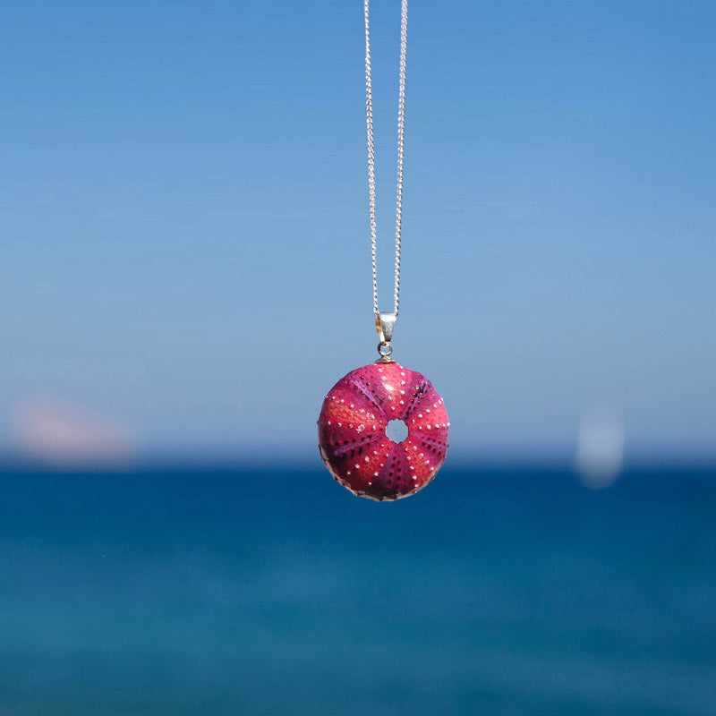Medium Fuchsia Sea Urchin Pendant