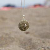 Medium Natural Green  sea urchin Pendant