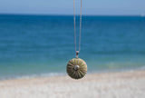 Medium Natural Green  sea urchin Pendant
