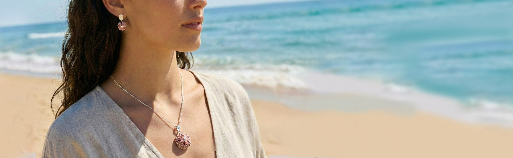 Colección Erizos de mar