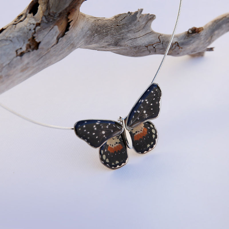 Chlosyne Janais butterfly choker with 4 wings