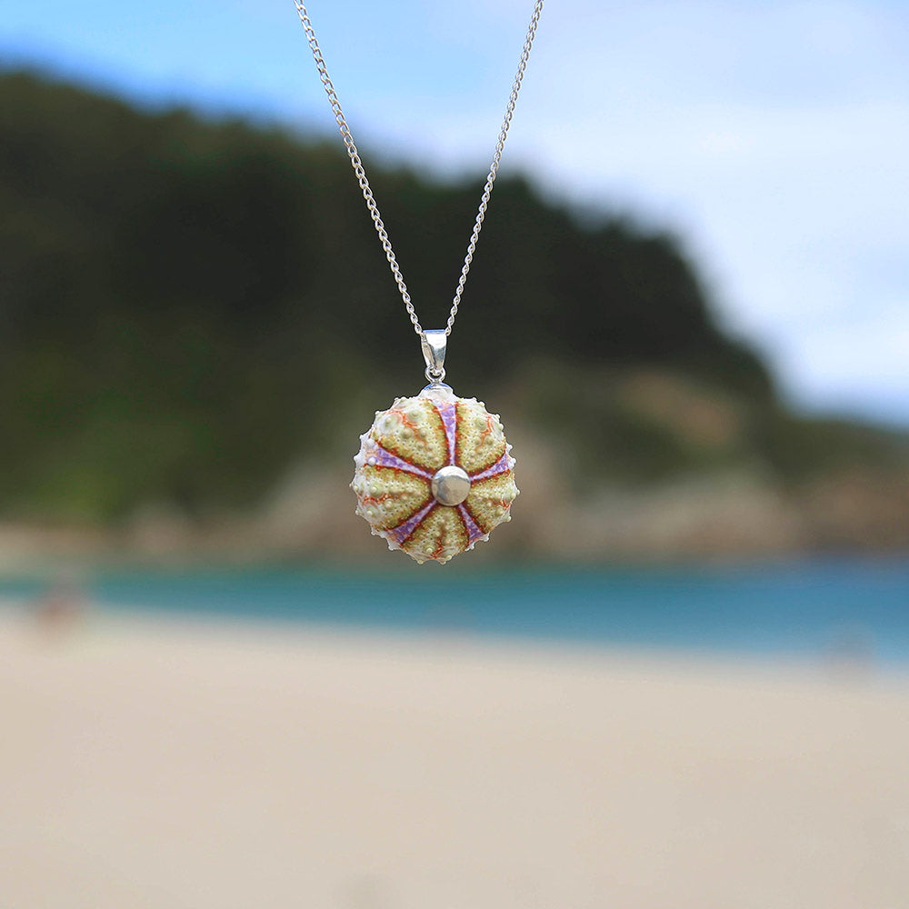 Multicolored Natural Sea Urchin Pendant