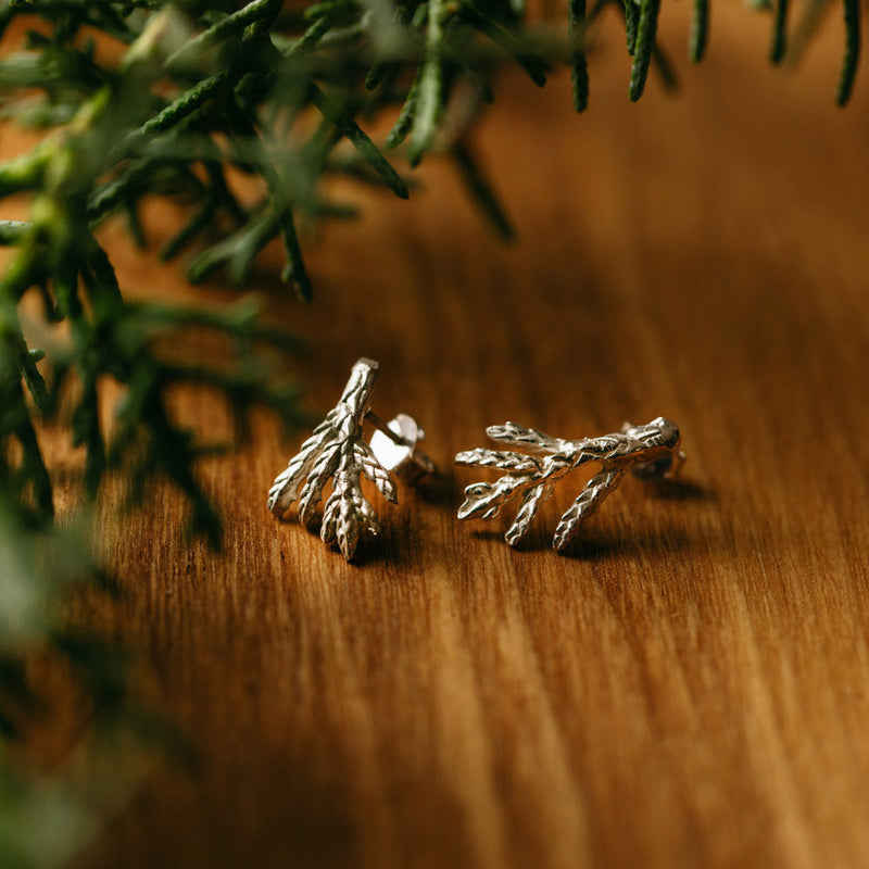 Cypress Stud Earrings SILVER