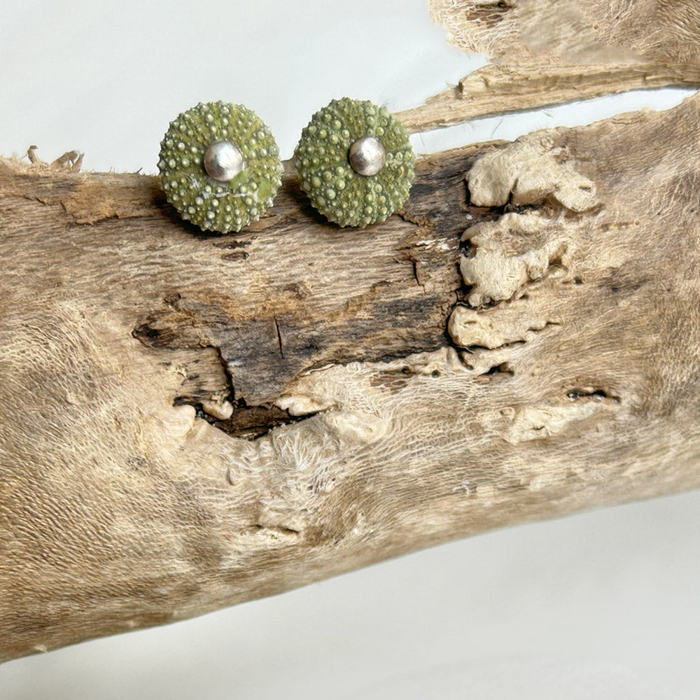 Pendientes tuerca Erizo Verde Natural