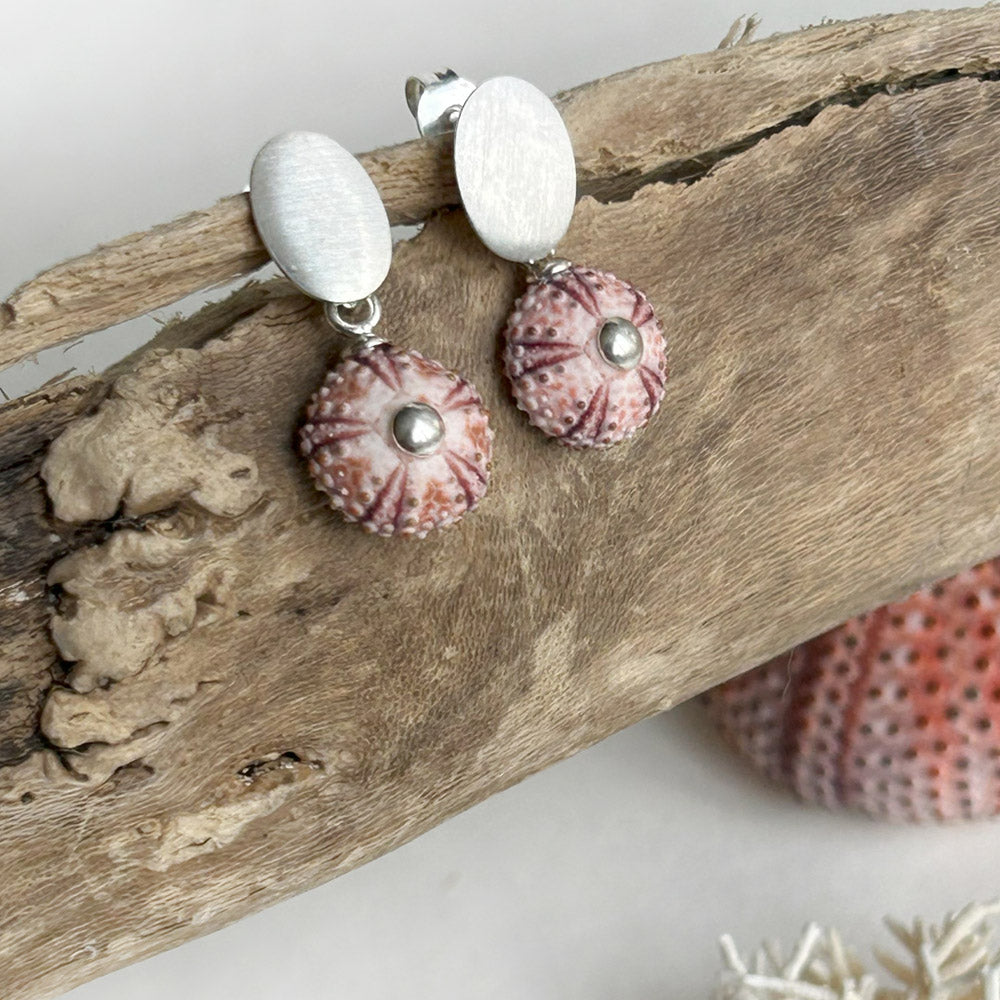 Natural Pink Sea Urchins Hanging Earrings