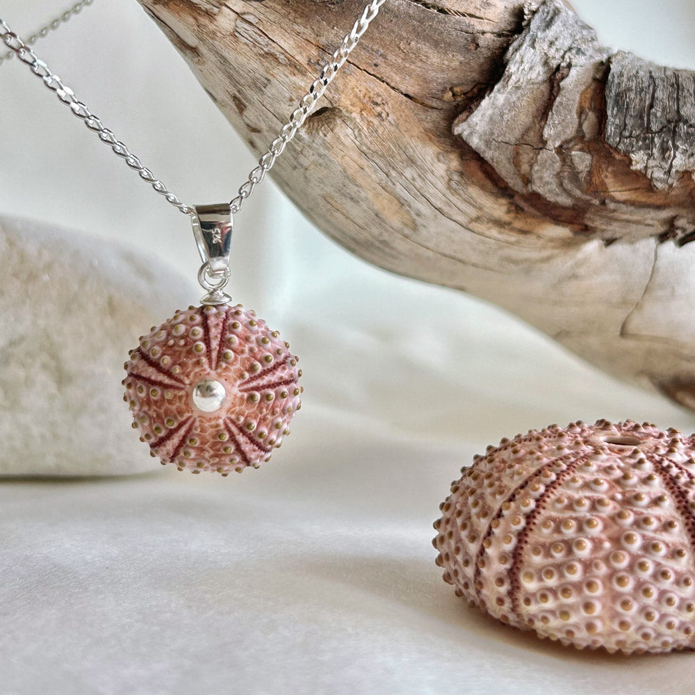 Small Natural Pink Sea Urchin Pendant