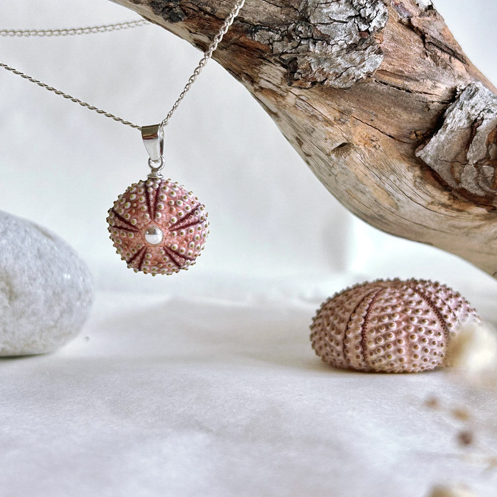 Small Natural Pink Sea Urchin Pendant