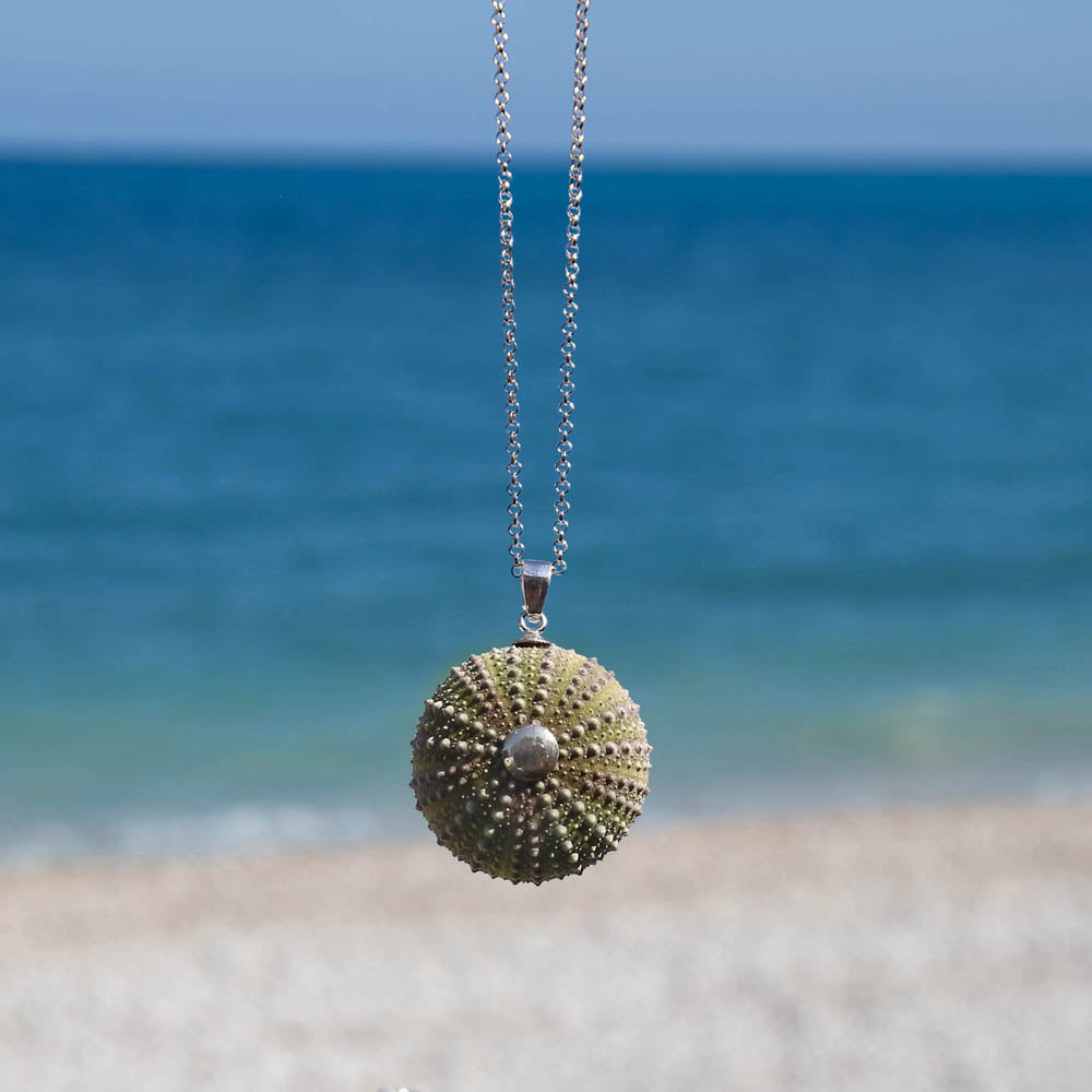 Colgante Erizo Verde Natural mediano