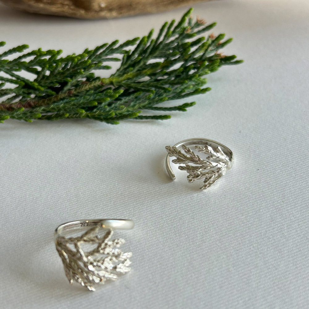 Anillo Ciprés PLATA