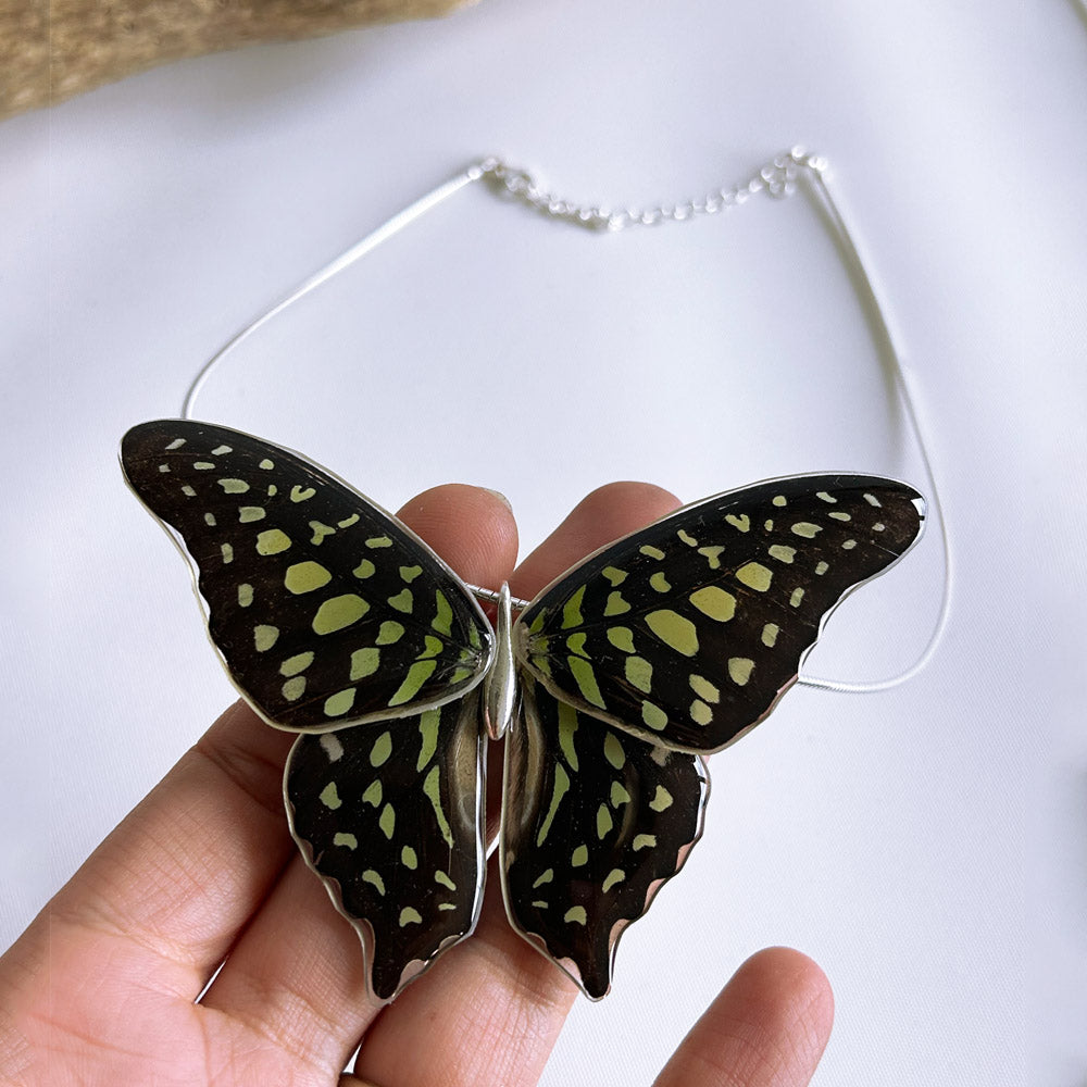 Gargantilla Mariposa Graphium Agamemnon entera 4 alas
