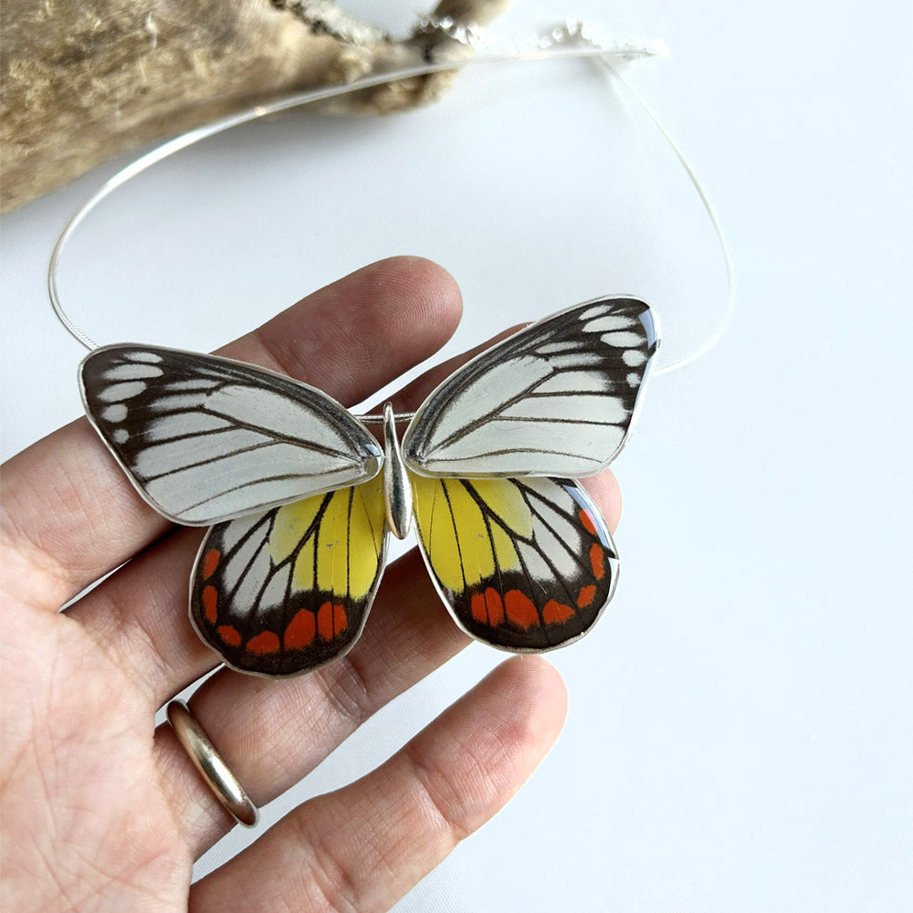 Gargantilla Mariposa entera Delias Hyparete 4 alas