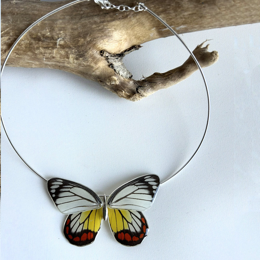 Gargantilla Mariposa entera Delias Hyparete 4 alas