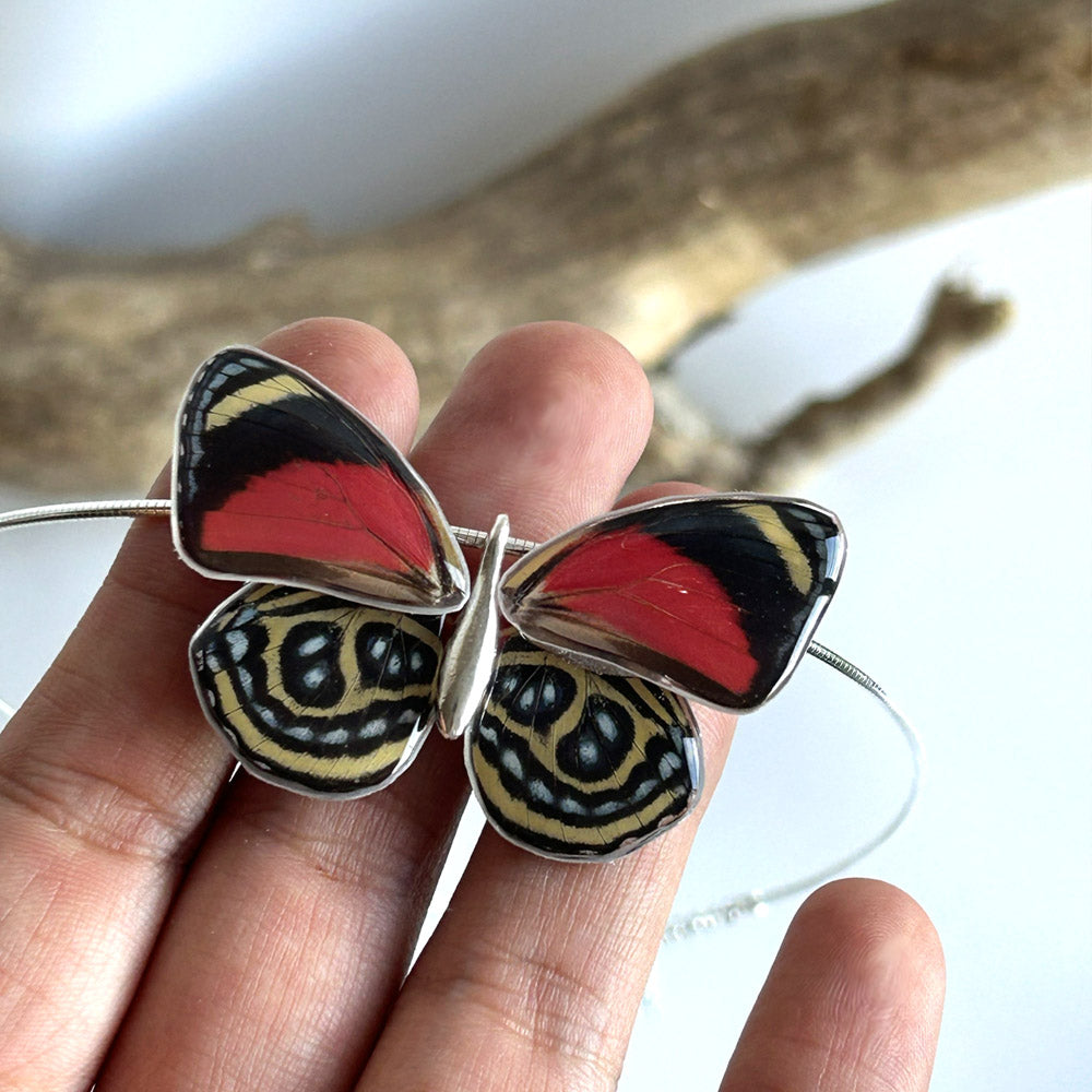 Gargantilla Mariposa Callicore Cyllene 4 alas