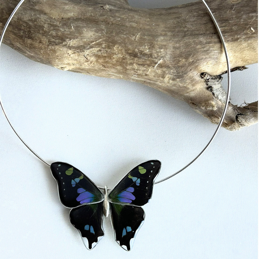 Gargantilla Mariposa Graphium Weiskei 4 alas