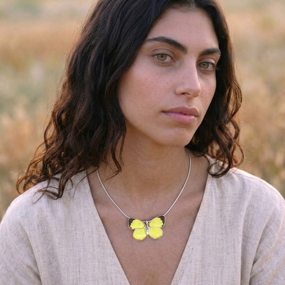 Gargantilla Mariposa Eurema Xanthochlora 4 alas
