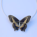 Gargantilla Mariposa Papilio Polyxenes entera 4 wings