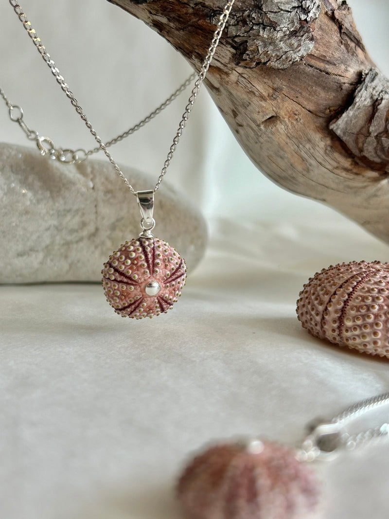 Colgante Erizo Rosa Natural Pequeño