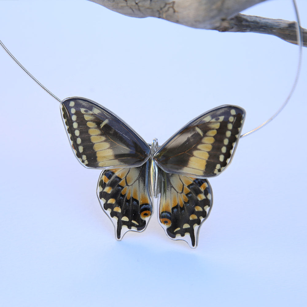 Gargantilla Mariposa Papilio Polyxenes entera 4 alas