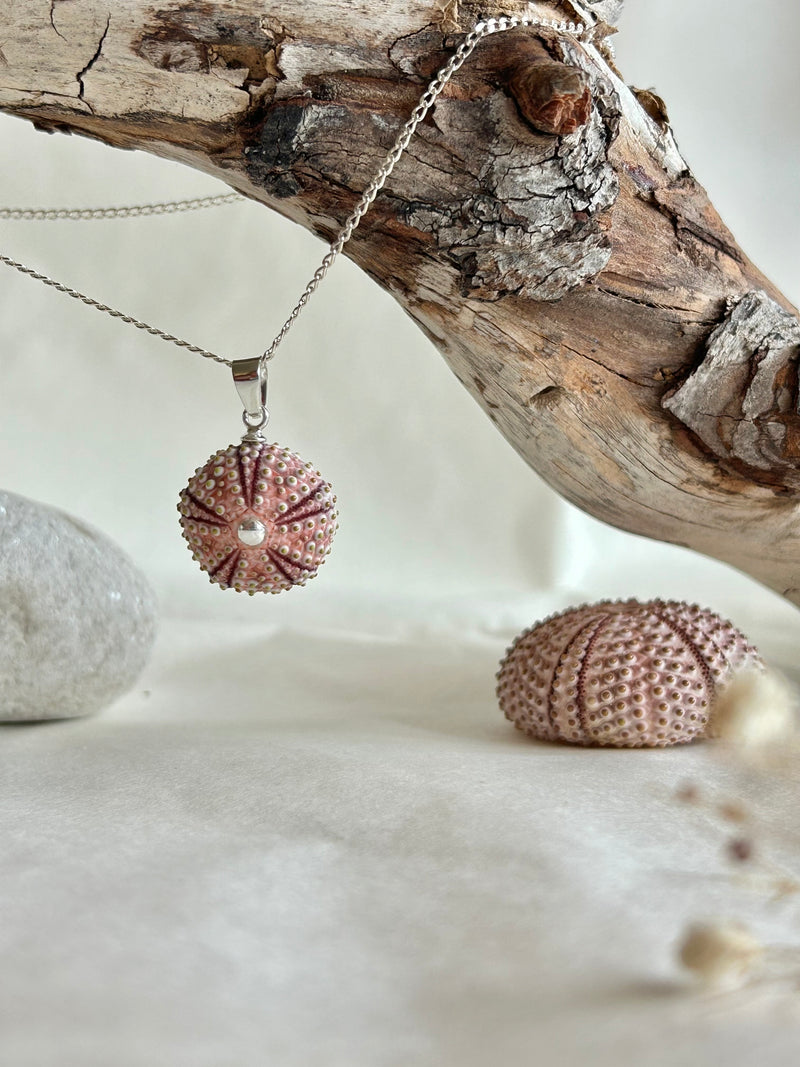 Colgante Erizo Rosa Natural Pequeño