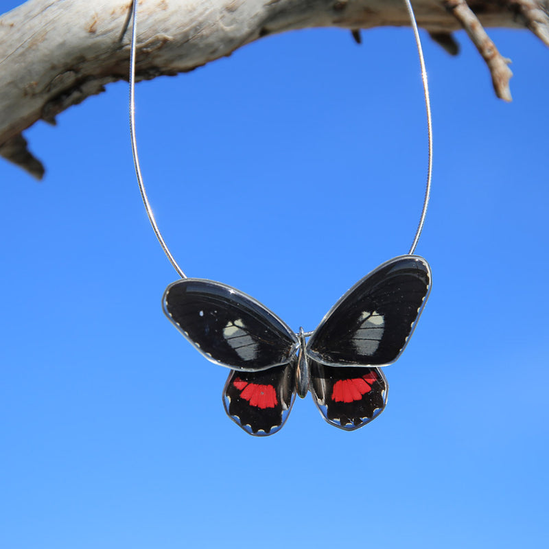 Parides Arcas Butterfly Choker complete with 4 wings