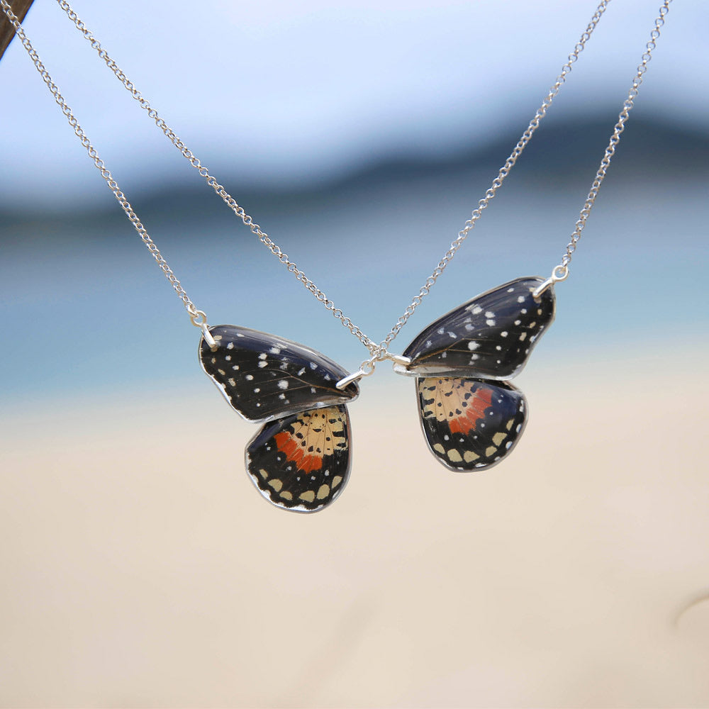 2 Gargantillas Mariposa Chlosyne Janais