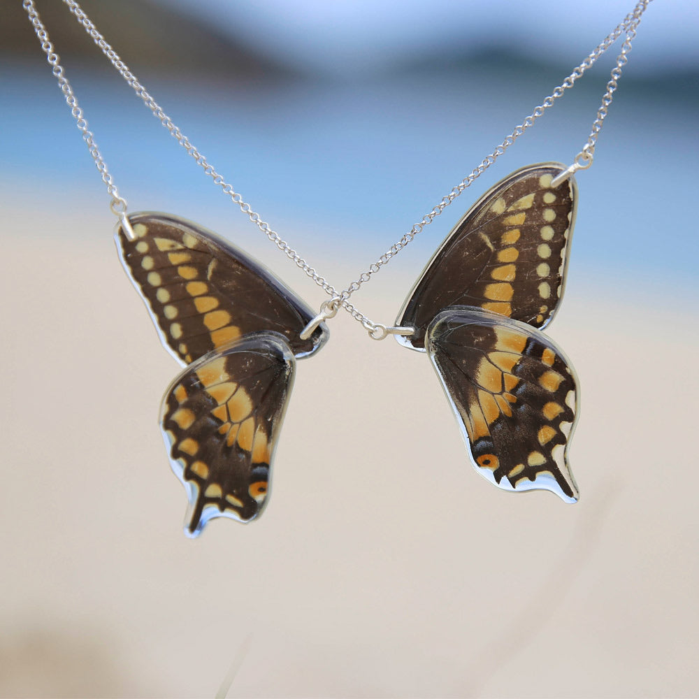 2 Butterfly Necklaces Papilio polyxenes