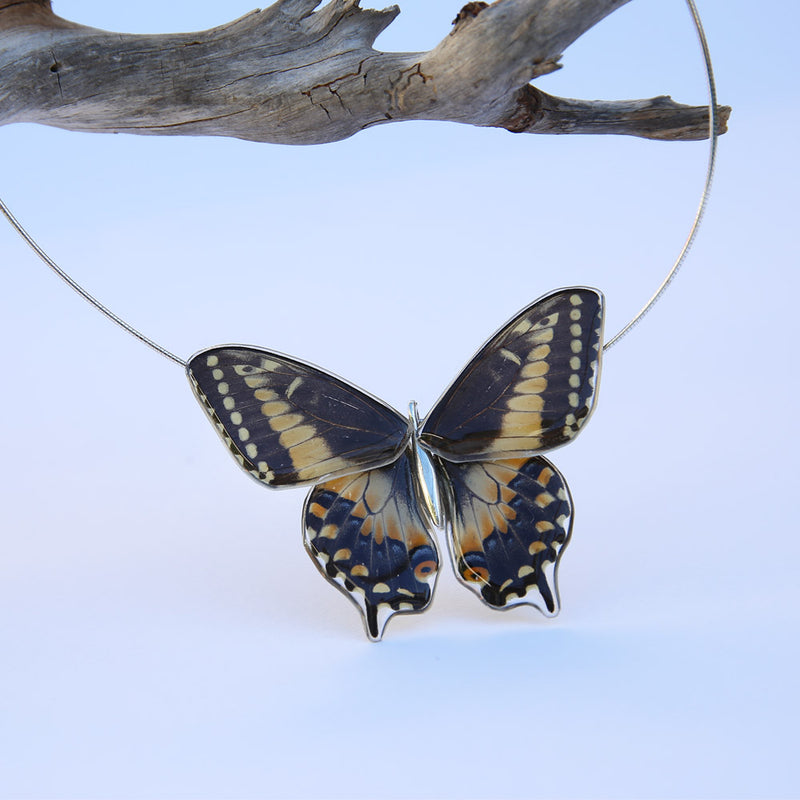 Gargantilla Mariposa Papilio Polyxenes entera 4 alas