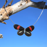 Whole Heliconius Melpomene Butterfly Choker 4 wings
