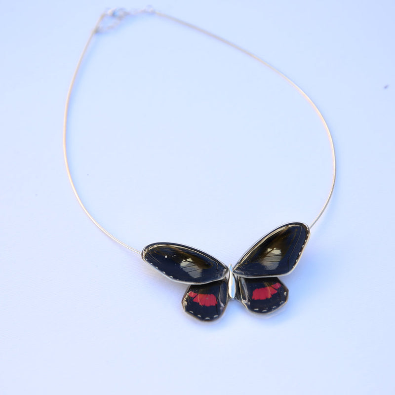 Parides Arcas Butterfly Choker complete with 4 wings
