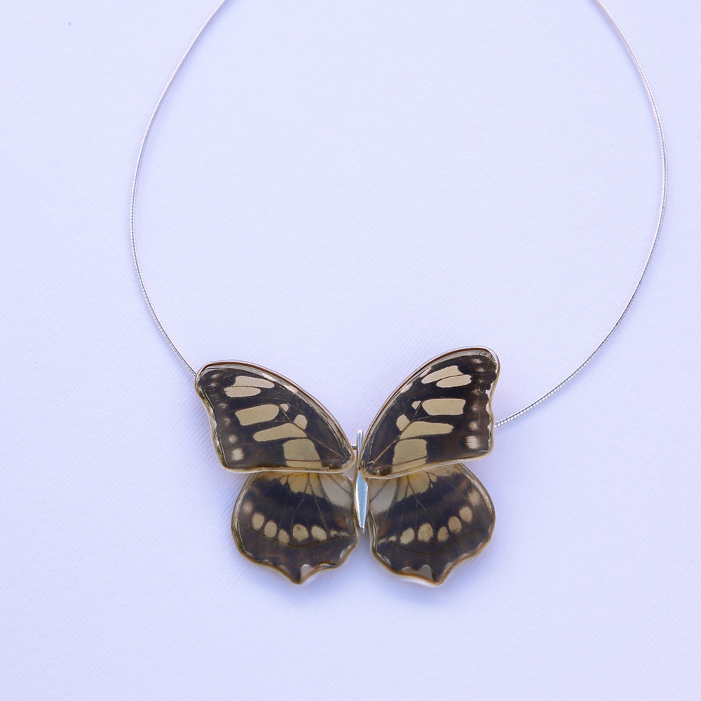 Gargantilla Mariposa Siproeta Stelenes entera 4 alas