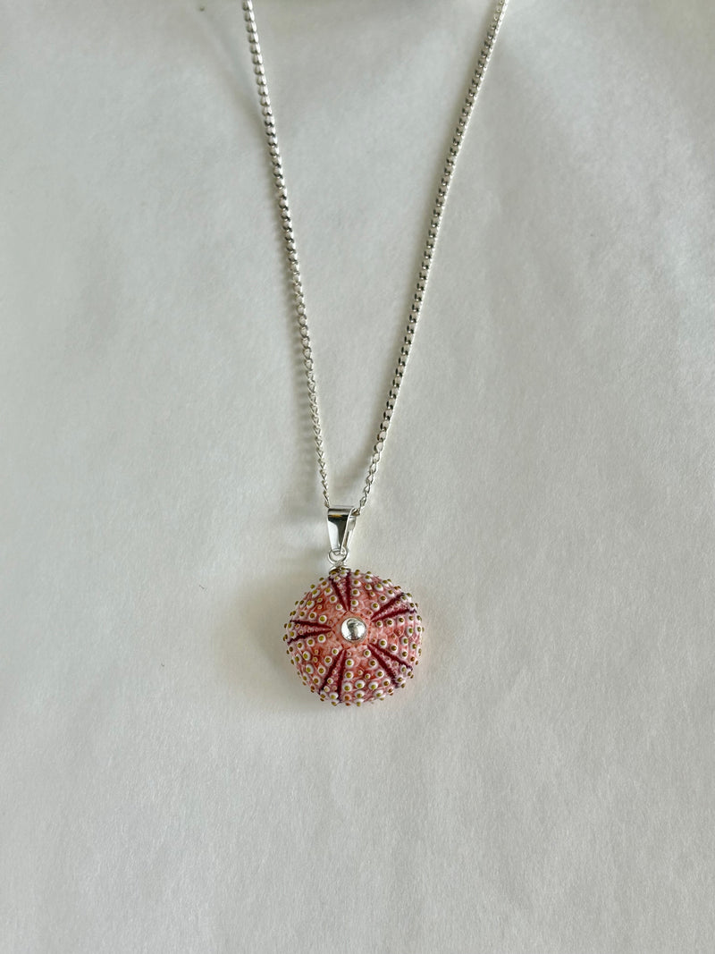 Colgante Erizo Rosa Natural Pequeño