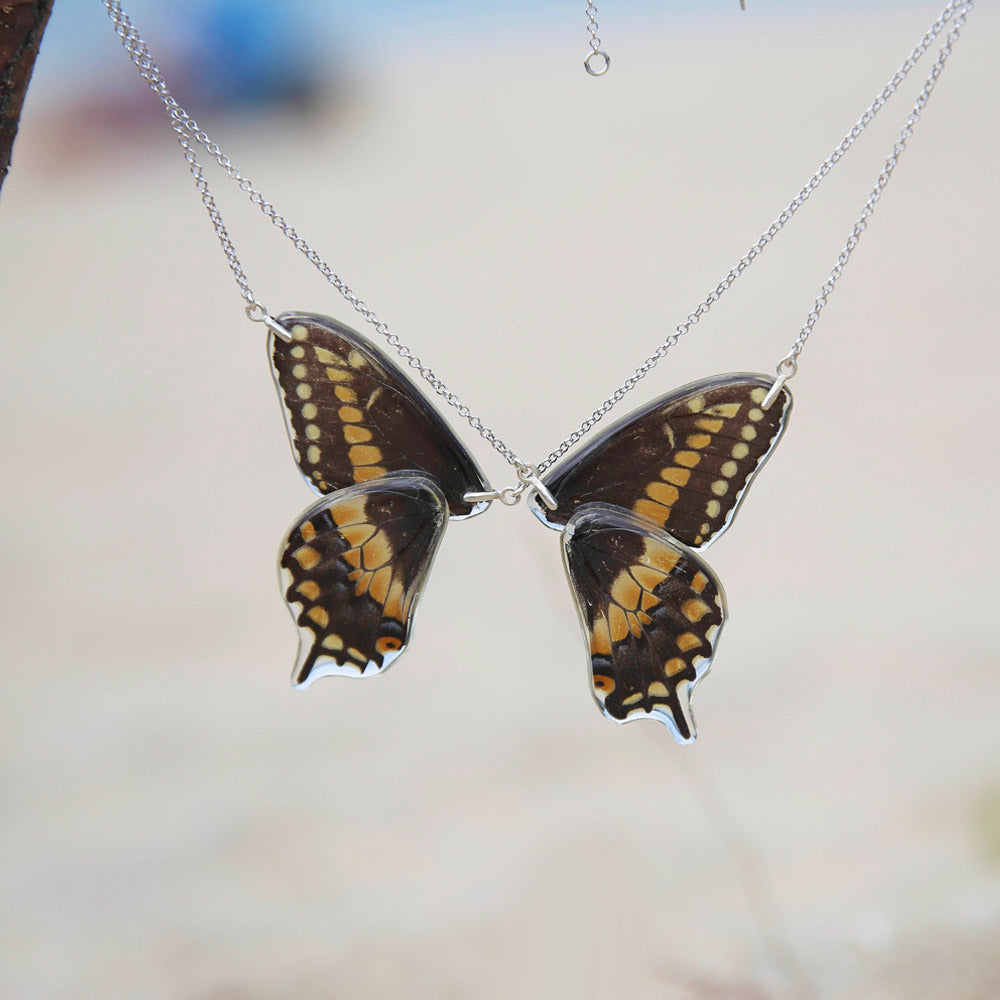 2 Butterfly Necklaces Papilio polyxenes