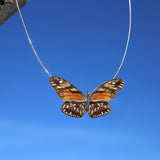 Full Dione Juno Butterfly Choker 4 Wings
